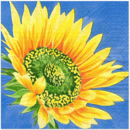 240 Stück Zellstoff Servietten 3-lagig 33x33cm Papierserviette - Sonnenblume blue (12x20er)