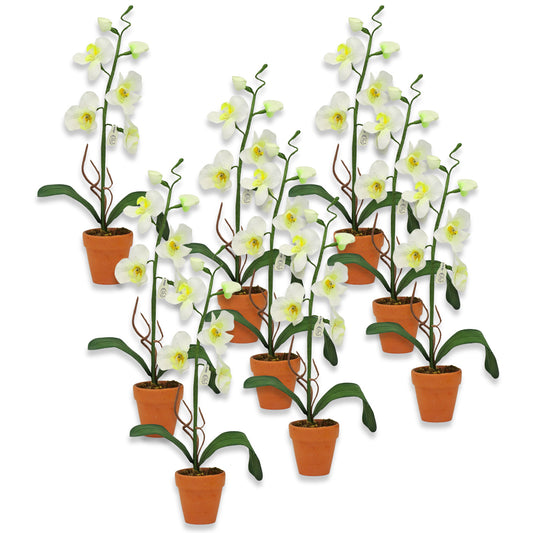 9er Set Künstliche Mini-Orchideen im Tontopf Blumen Kunstpflanzen 22x3cm weiß-gelb