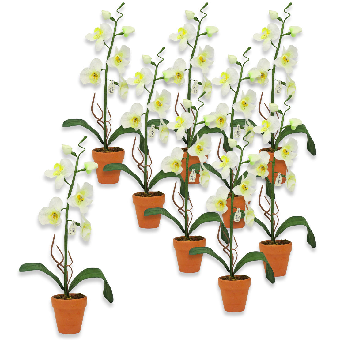 9er Set Künstliche Mini-Orchideen im Tontopf Blumen Kunstpflanzen 22x3cm weiß-gelb