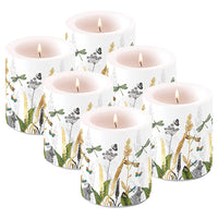 Ornamental Flowers White - Zierblumen (470)